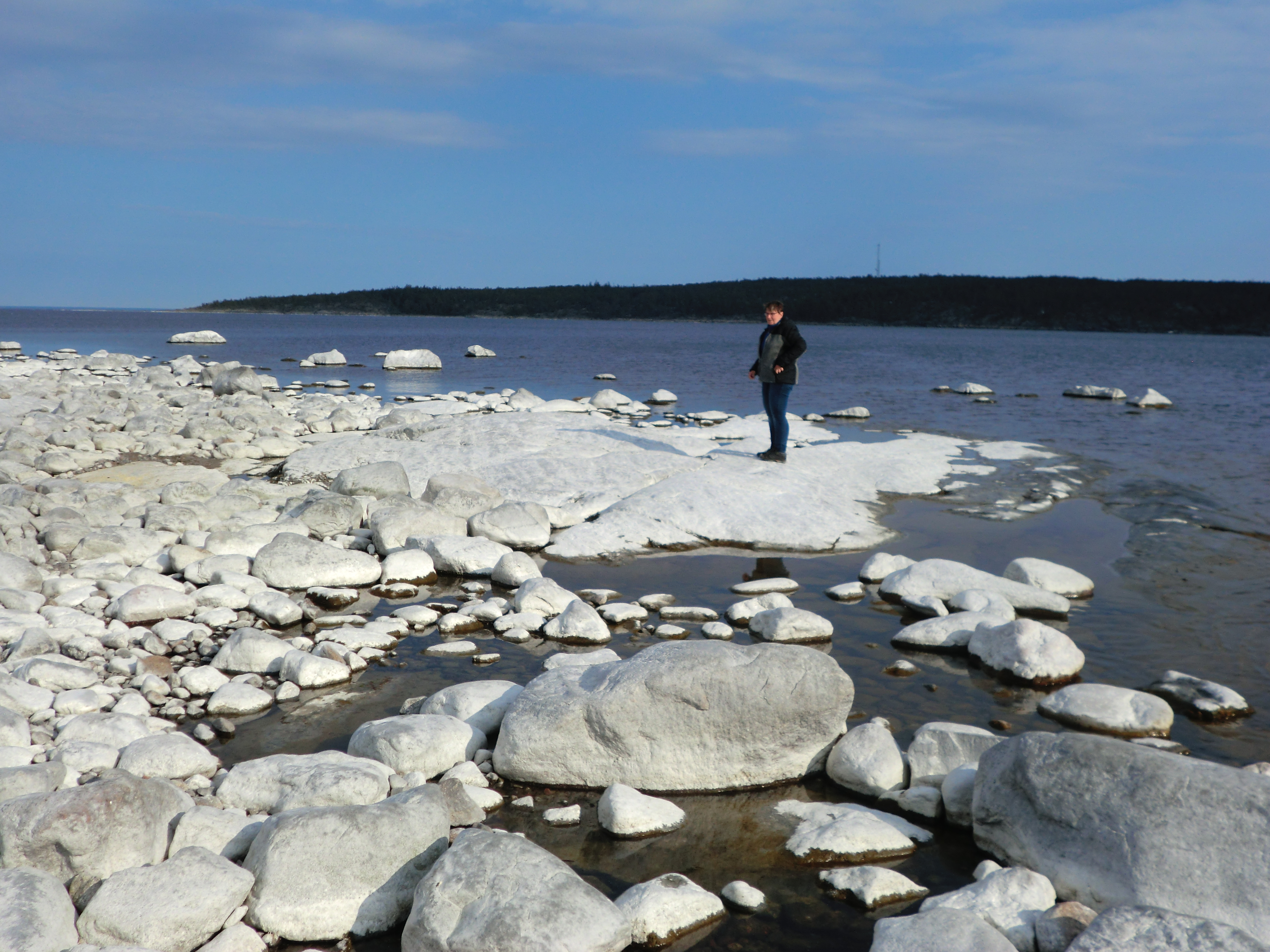 Isen har dragit sig undan och strandstenarna är vita av havssalt vackert och härligt att s...
