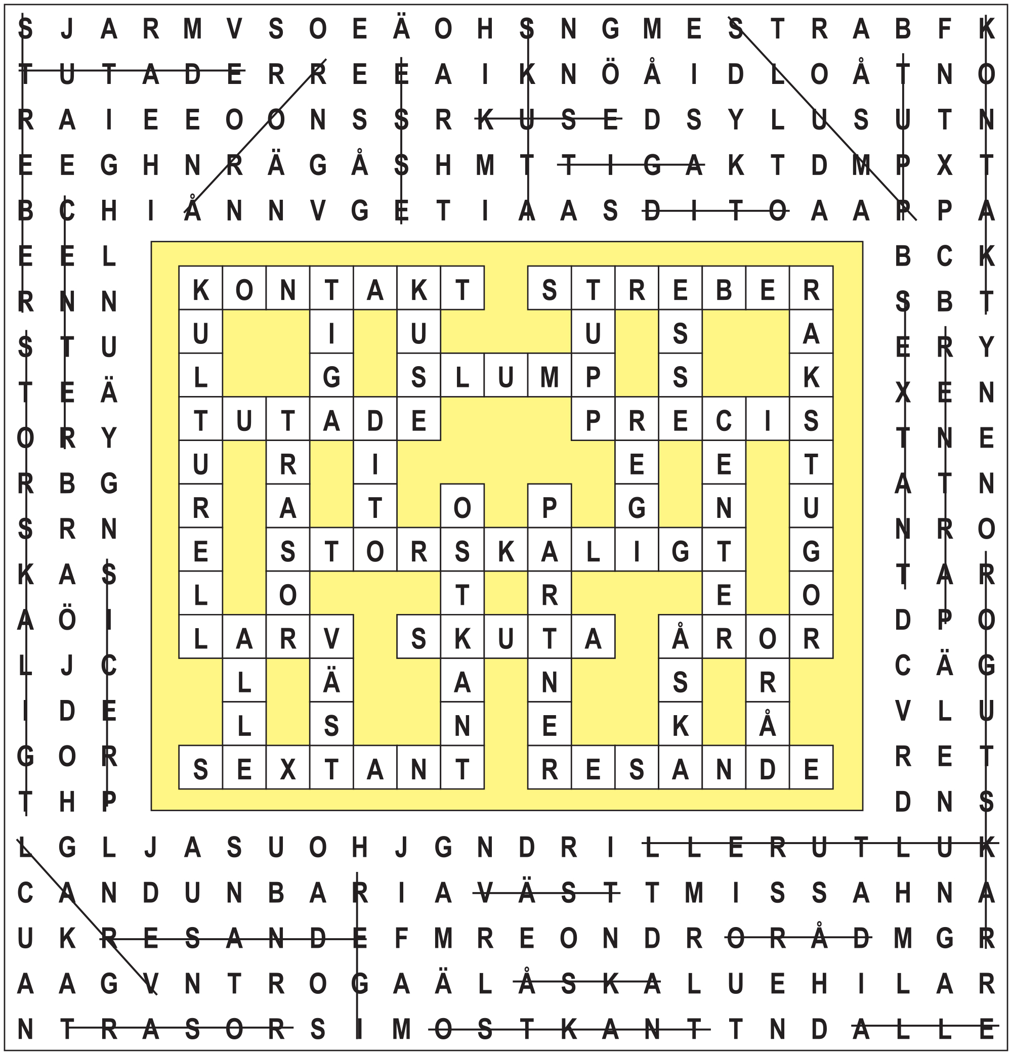 22Rensa-i-röran-facit.jpg