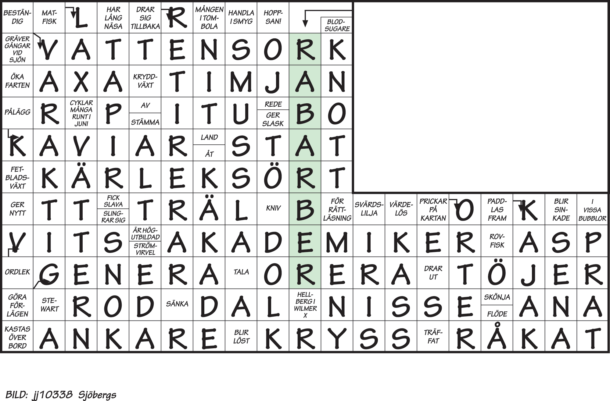 28-Klorofylleriet-facit.jpg